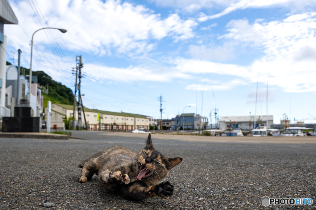 のびの～び