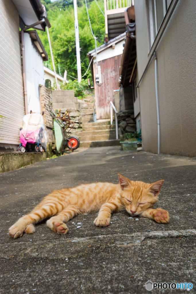 うだるような・・・