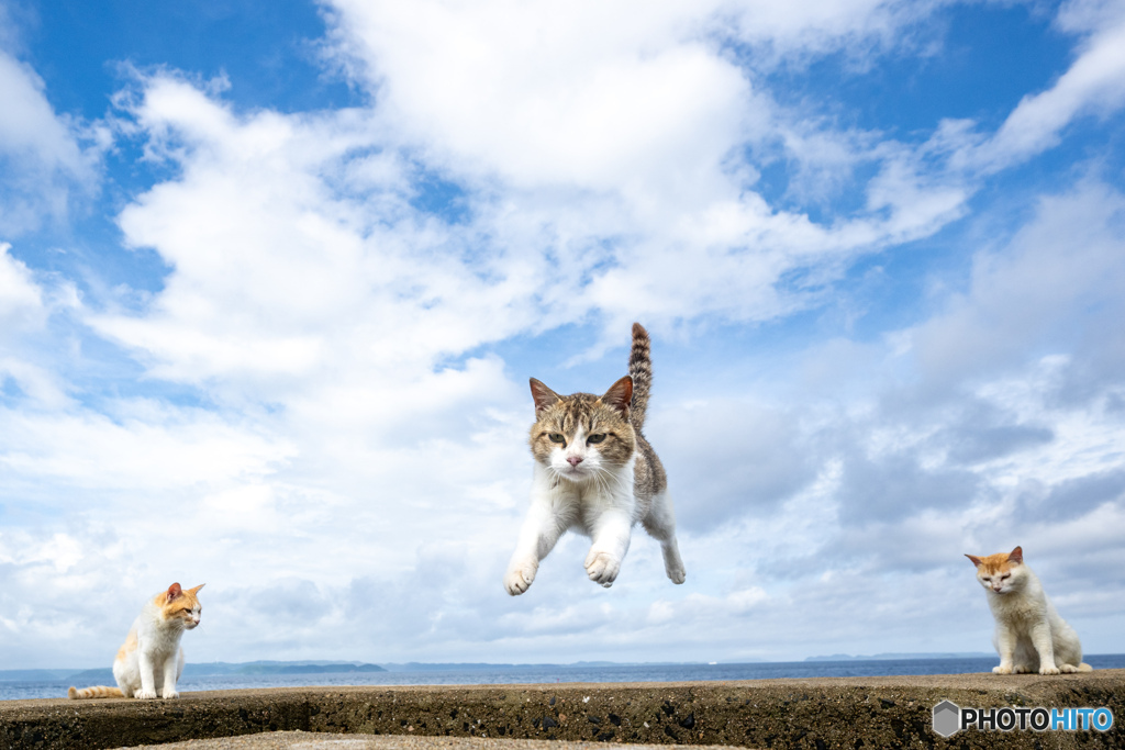 梅雨空をぶっ飛ばせ