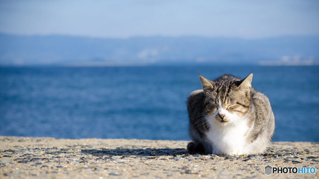 冷たい風が吹いた