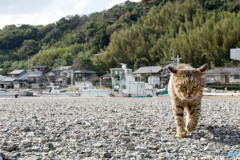 大沢くんが来た