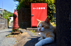 日陰で休憩ですよ