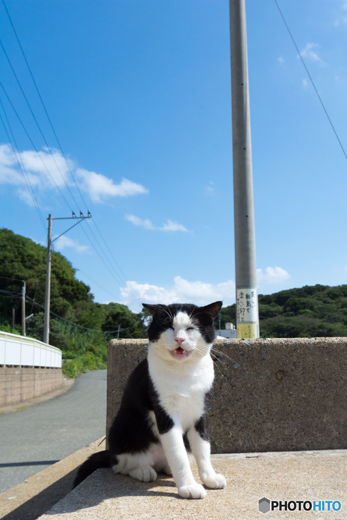 ボス笑顔で(^_^)／おはよー