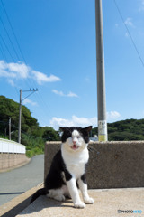 ボス笑顔で(^_^)／おはよー