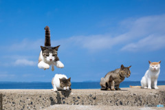 夏空ピョン