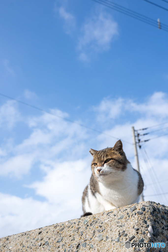 冬の日はきりりとね