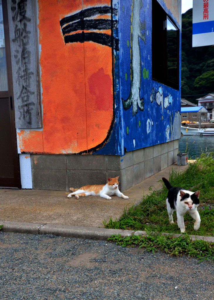 小屋の正面の写真がありました