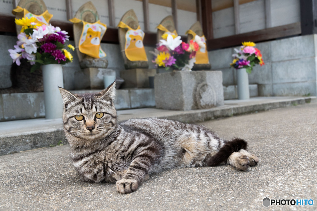 お地蔵様と（1）