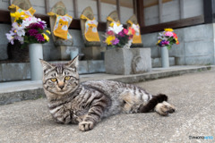 お地蔵様と（1）