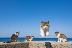 それっ