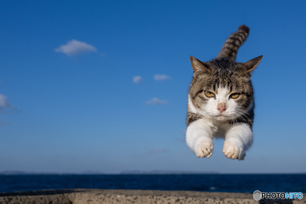 冬空ピョン
