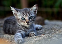 (⊹＾◡＾)ノoﾟ｡*こんにちわぁ～*｡♡