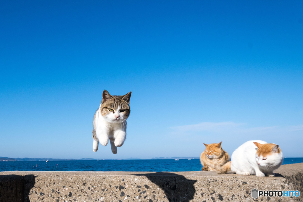 おチビ隊員ゴー