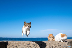 おチビ隊員ゴー