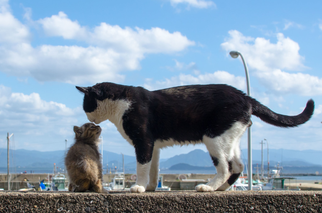 お！もしかして父ちゃん？