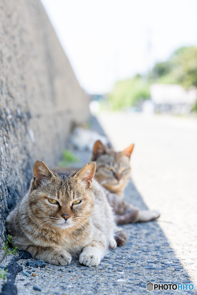 あちいよね