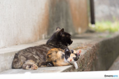 お母さんと一緒