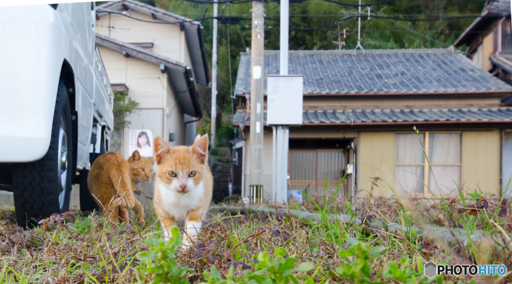 行くけんね～