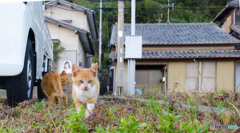 行くけんね～