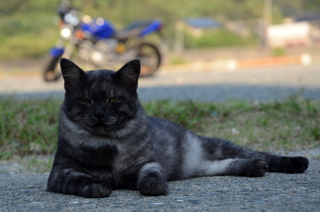 DSC_0362