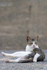 足ピーン