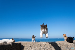 副隊長が行く