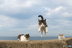 元気にピョンッ