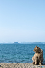 春の海