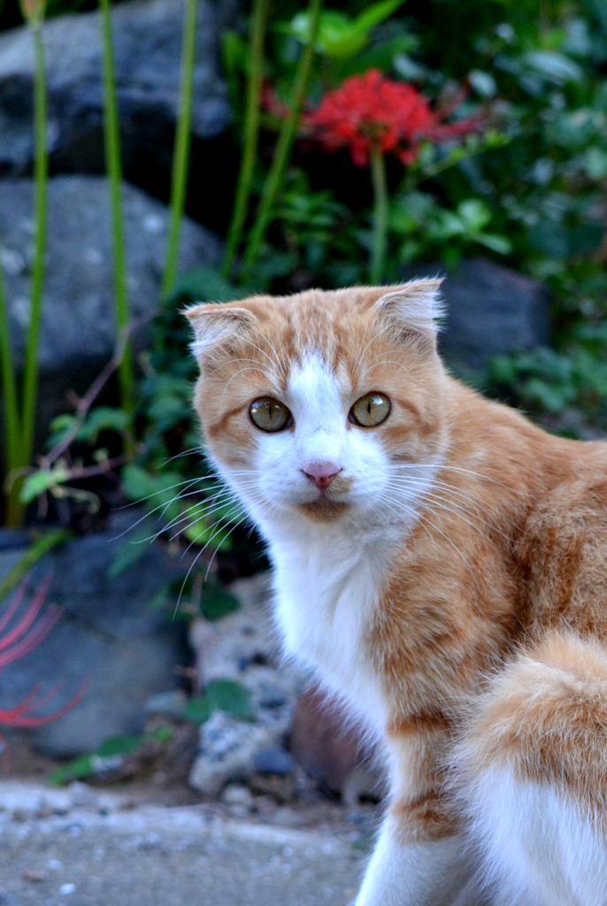 DSC_3018