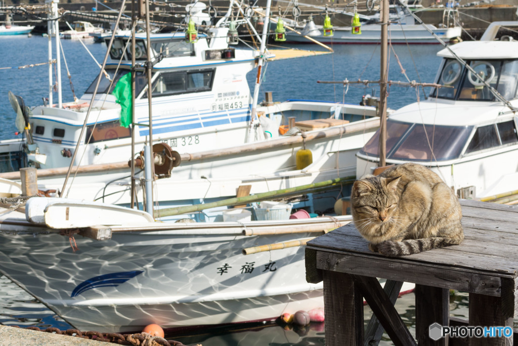 しあわせってなんだろね