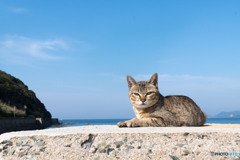 オヤツを出してください
