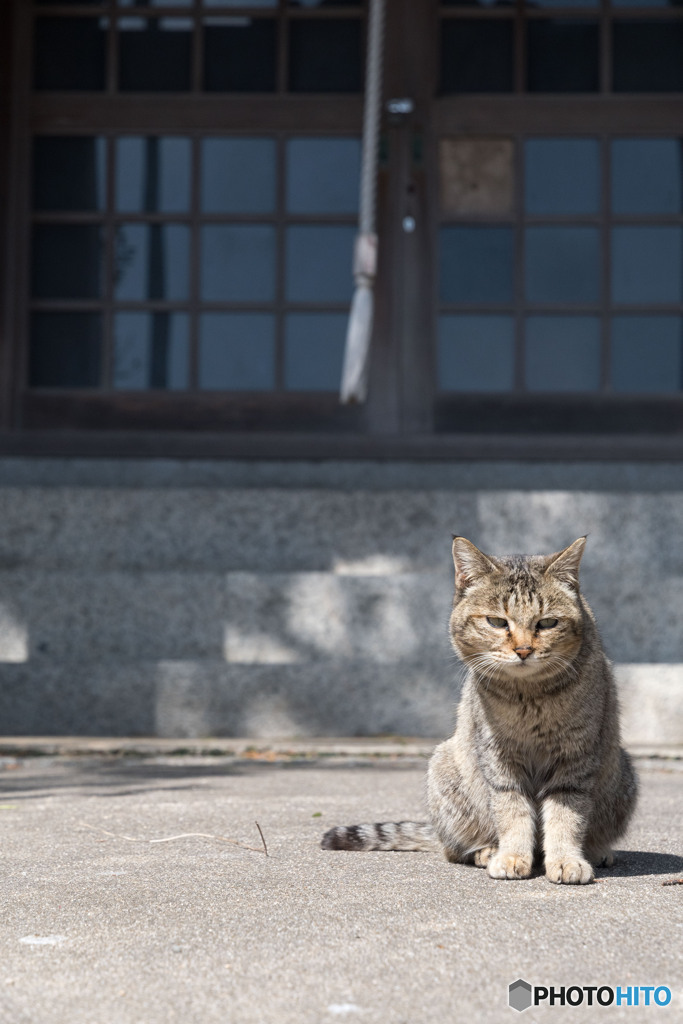神社でうにゃにゃ