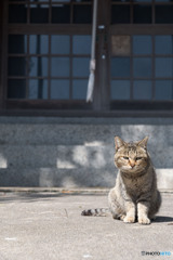 神社でうにゃにゃ