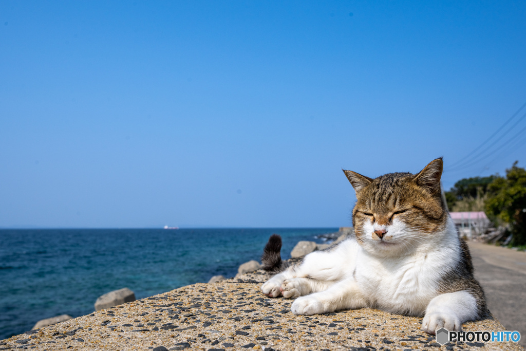 うとうと海岸