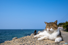 うとうと海岸