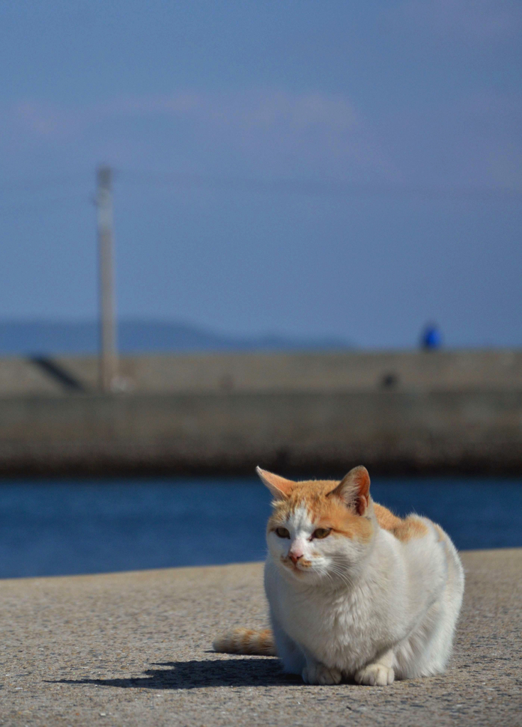 午後のひととき