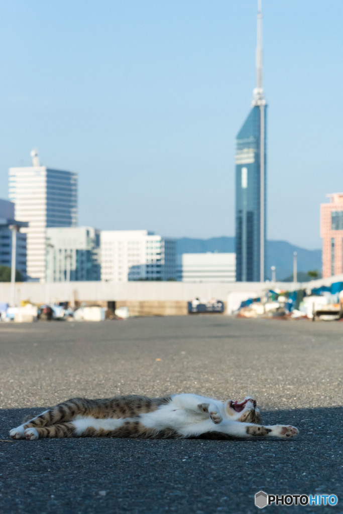 フクオカシティニャン（2）