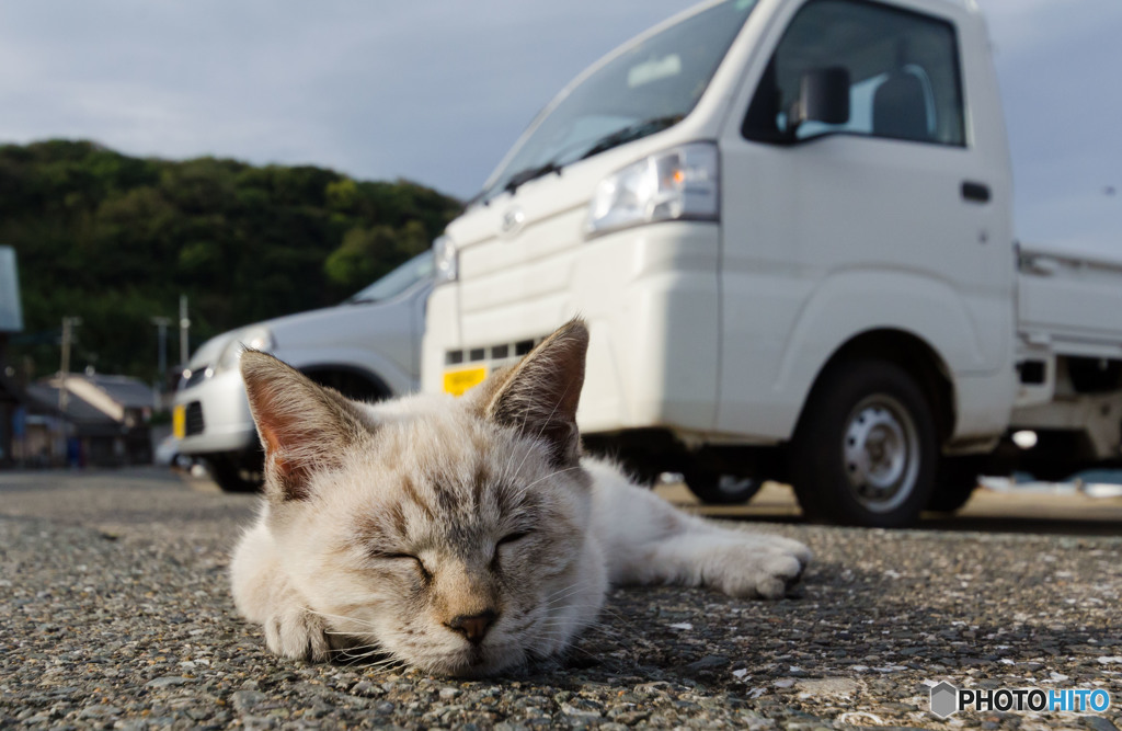 秋って眠たいね