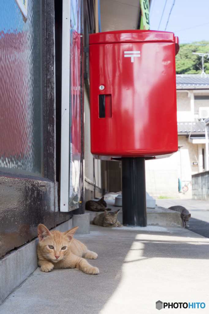 手紙やハガキははポストに入れてね