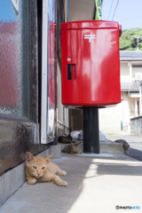 手紙やハガキははポストに入れてね