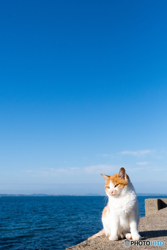 あお