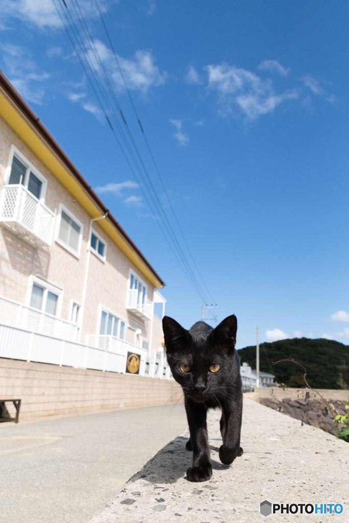 クロちゃんの登場