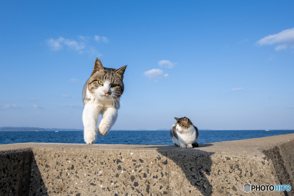 元気よくいこ～