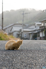 もやっとしたお天気