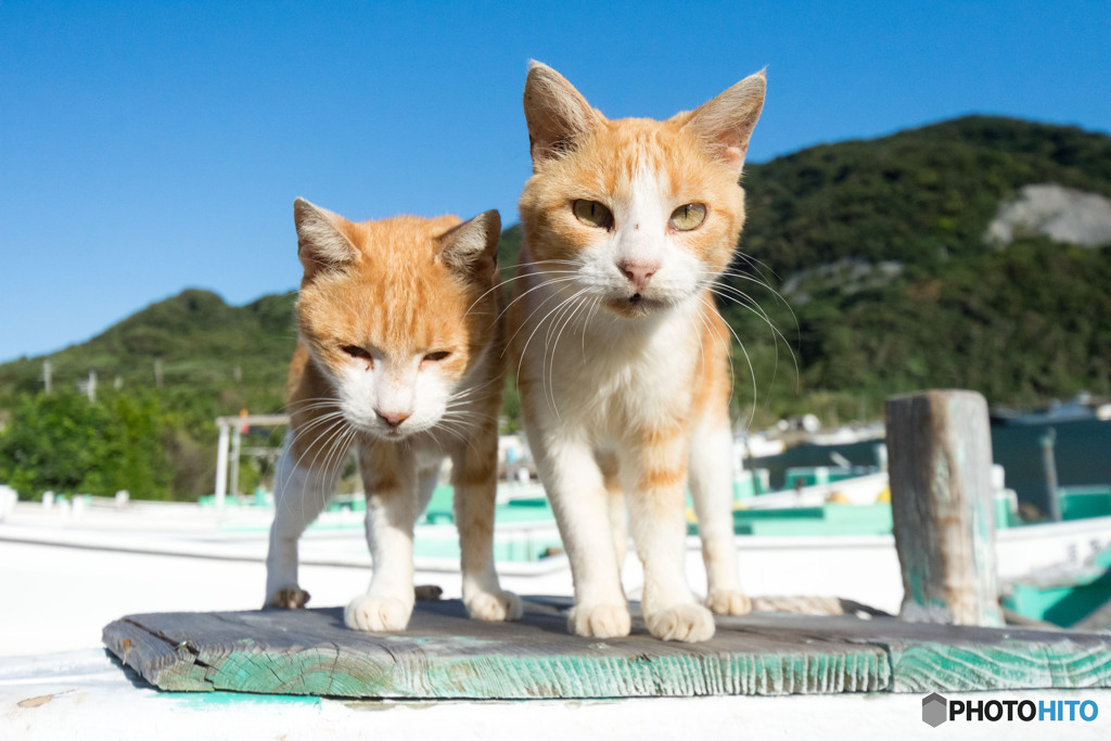 えへへ