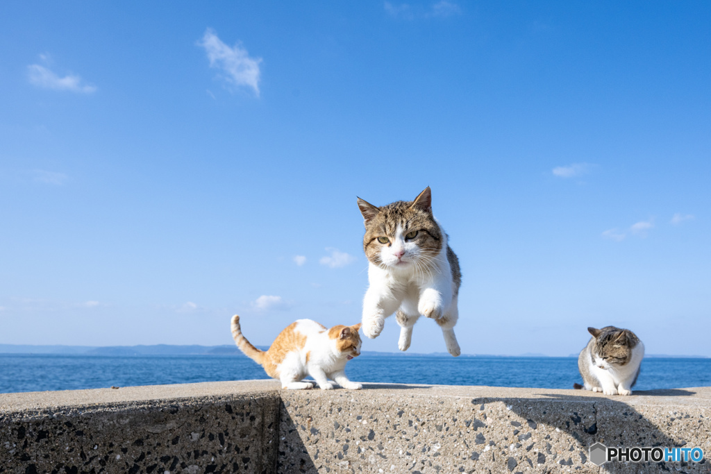よいしょっと