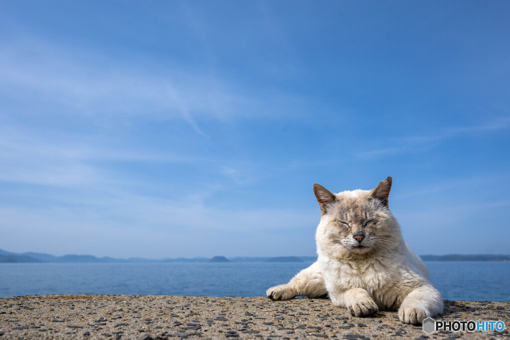 いいお天気、いい心地