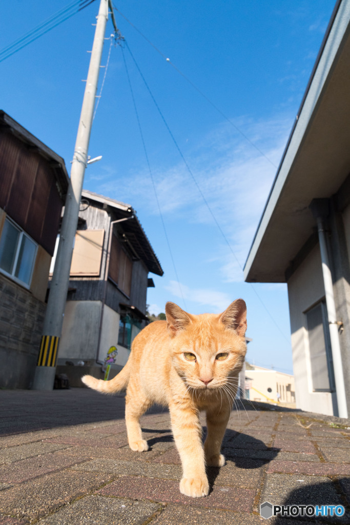 おニャニャ