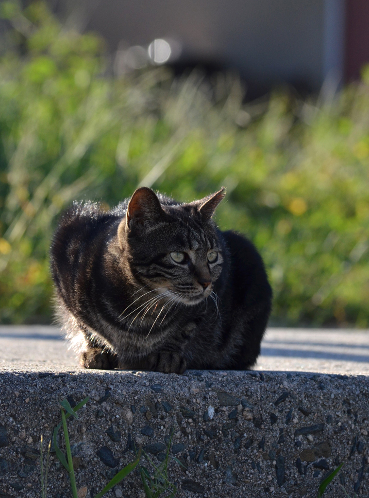 DSC_1680