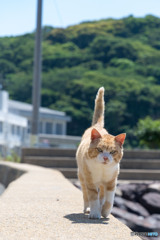 久々に会えた！！うれしいな～